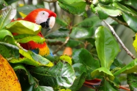 Costa Rica travel photo