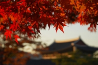 South Korea travel photo
