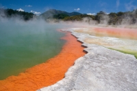 New Zealand travel photo